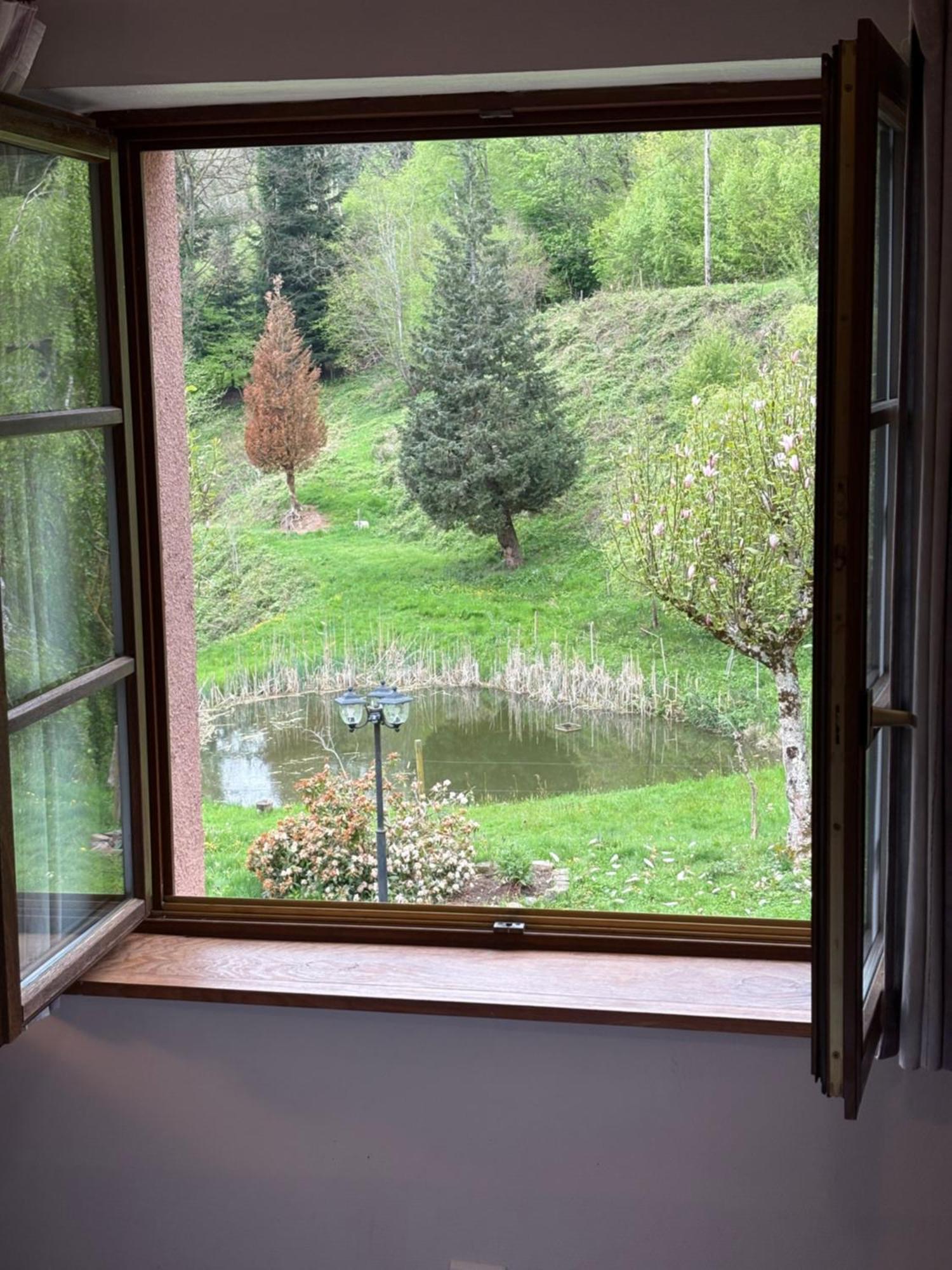 La Belle Charbonniere Hotel La Grande Fosse Стая снимка