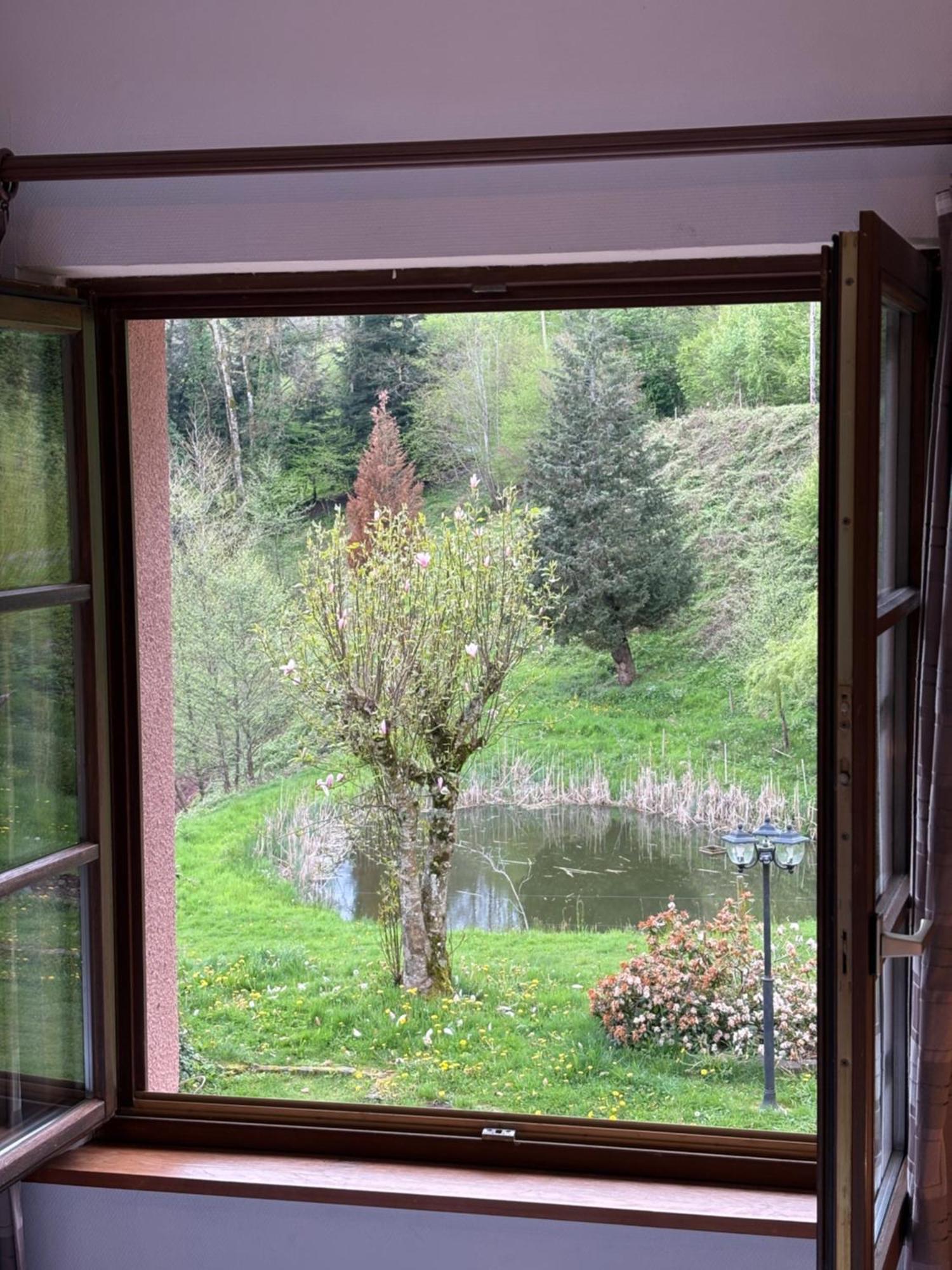 La Belle Charbonniere Hotel La Grande Fosse Стая снимка